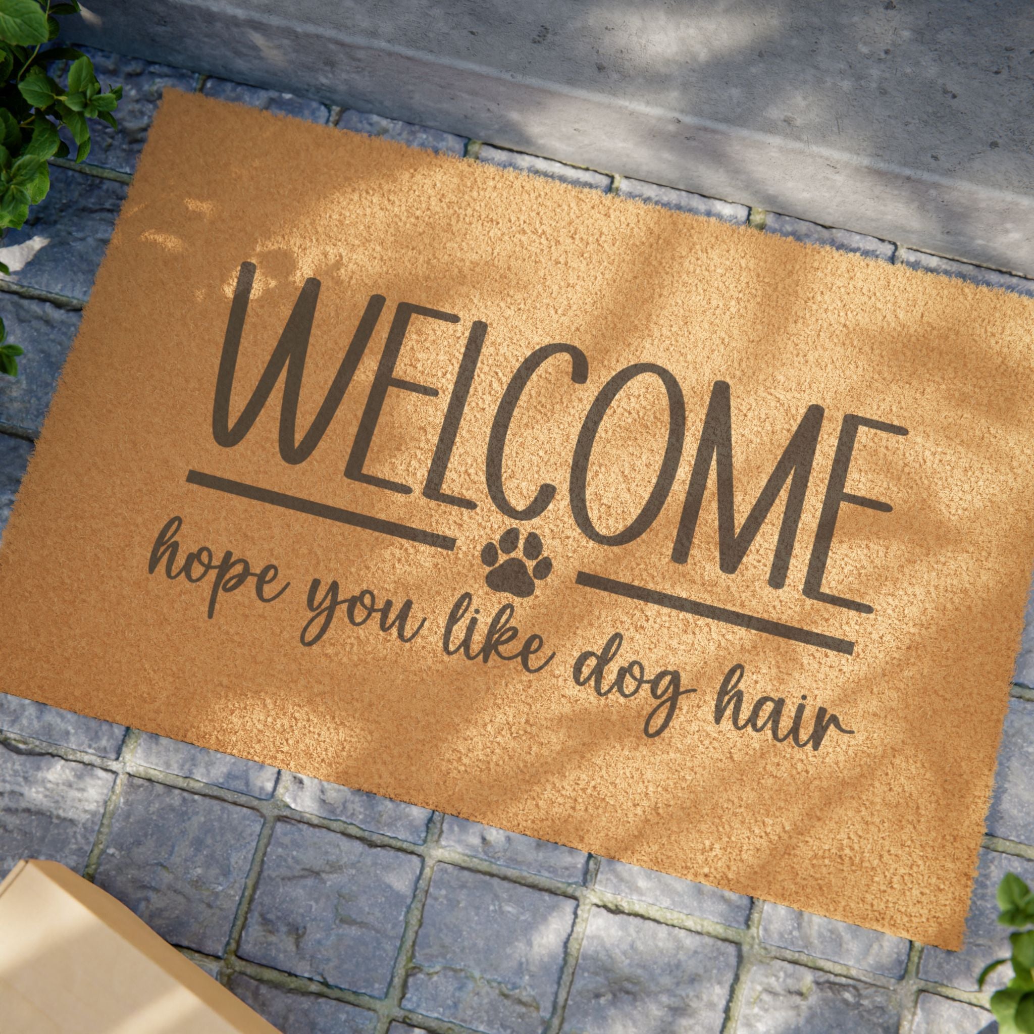 Welcome hope you like dog hair Doormat